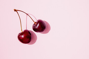 Pair of cherries with stem on a pink background