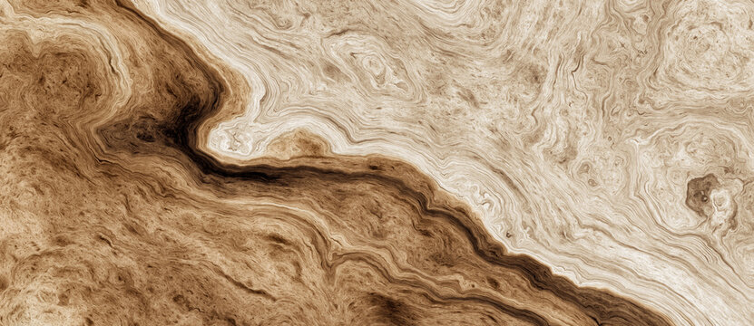 Abstract curly wood texture