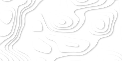 Abstract vector illustration 3d papercut wave line pattern background. white and gray luxury grid topography map and satin smooth wallpaper matt paper light texture.