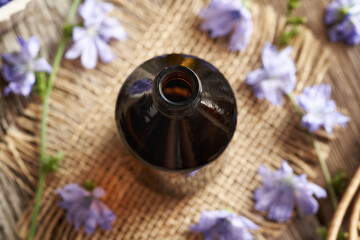 A brown glass bottle of herbal tincture with wild chicory flowers