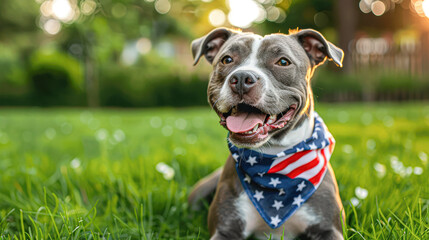 A dog wearing a red, white and blue bandana is laying on the grass