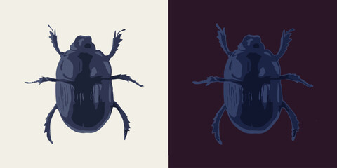 Dung beetle. Top view. Single isolated colorful illustration. Image tracing, cleaned and simplified image. Realistic style. Not AI.