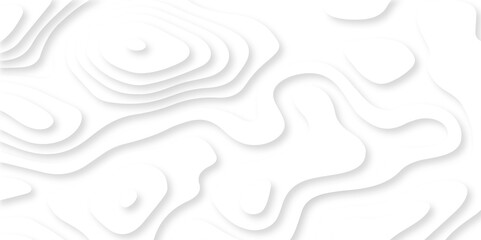 White and gray luxury wave line grid topography map and satin smooth wallpaper matt paper light texture. Abstract vector illustration 3d papercut wave line pattern background.