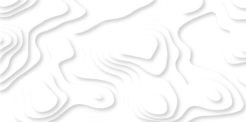 Abstract vector illustration 3d papercut wave line pattern background. white and gray luxury grid topography map and satin smooth wallpaper matt paper light texture.	
