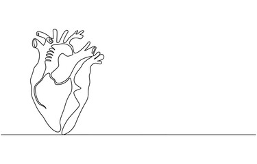 human heart internal organ and pulse cardiology in continuous line drawing, Good for celebrating National Donor Day, this single line artwork features an image, vector illustration heart line concept