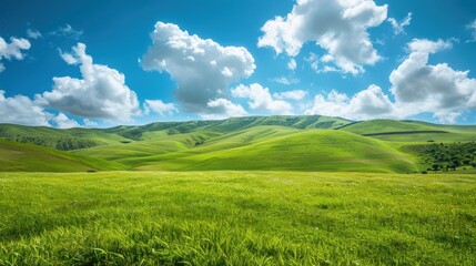 Obraz premium Rolling Green Hills Under a Blue Sky