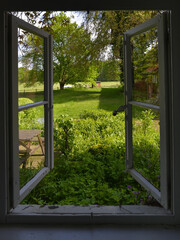 Blick aus dem Fenster in eine gruen, bl&uuml;hende Morgenlandschaft, View out of the window into a green, blooming morning landscape