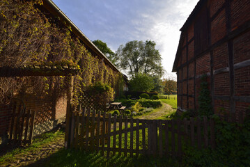 Obraz premium Gruene Landschaft in morgendlicher Sonne bei blauem Himmel und weissen Wolken, Green landscape in the morning sun with blue sky and white clouds