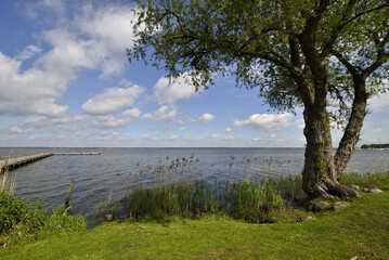 Weite Landschaft am See mit Steg bei strahlendem Sonnenschein, blauem Himmel und weissen Wolken, Wide landscape at the lake with a jetty in bright sunshine, blue sky and white clouds