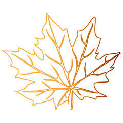 Maple tree leaf design nature.