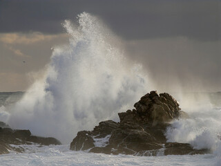 Stormy seascape at dusk