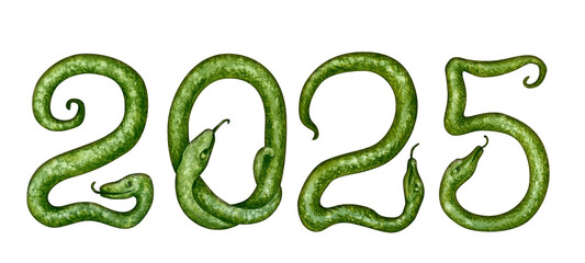 Number 2025 in the form of a green snakes as a symbol of Happy Chinese New Year 2025 according to the zodiac sign of the year of the Snake. Watercolor illustration for templates of congratulation