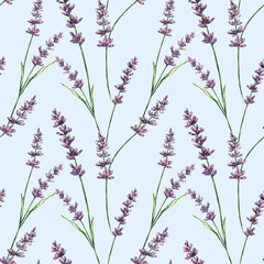 Lavender pattern with purple flowers and leaf. Seamless floral background, repeating print. Botanical repeatable texture, provence design with lavender. printable design for for textile, wrapping