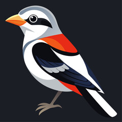 Shirke Bird colorful vector for multiple uses