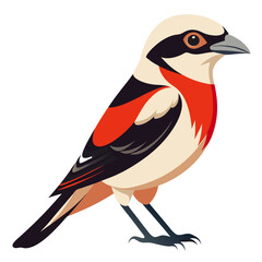 Shirke Bird colorful vector for multiple uses