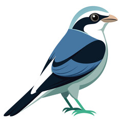 Shirke Bird colorful vector for multiple uses