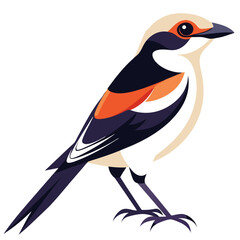 Shirke Bird colorful vector for multiple uses