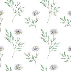 Wild field flowers watercolor pattern. Cute floral seamless texture with chamomile, background. Meadow plants