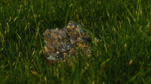 Close-up, Pyrite crystal glints in the setting sun in green grass