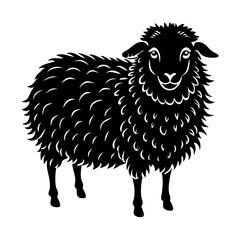 illustration of sheep