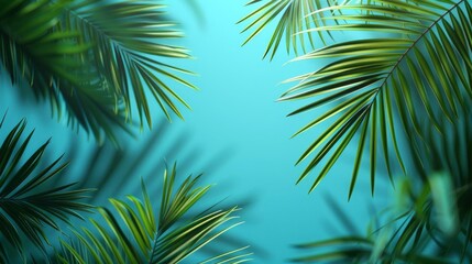 Obraz premium A high resolution image of palm leaves set against a clear turquoise sky The leaves are in sharp focus with visible veins and edges