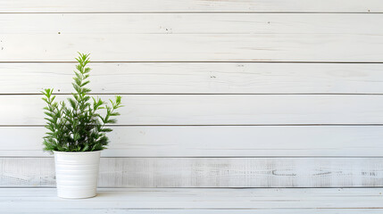 White painted wooden wall background 