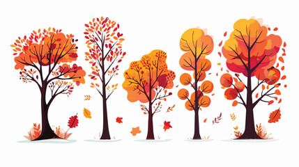 Beautiful autumn trees with colourful leaves 
