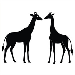 Giraffe silhouette. Giraffe black icon on white background. Giraffe vector illustrations. Group of many giraffe in different poses. Giraffe line Art Vector illustration.