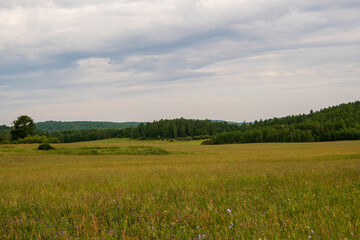 Field in countryside