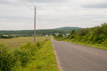 Fototapeta premium road in the countryside