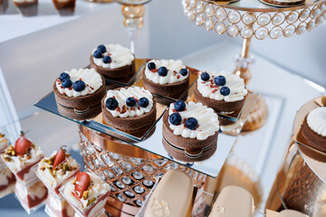 A table with a variety of desserts, including blueberry tarts and strawberry shortcakes. The desserts are arranged on a glass display case, which is surrounded by a gold frame