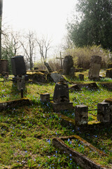 Old Cemetery with Mossy Tombstones