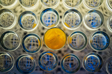 Filled Glass in the middle of empty glasses