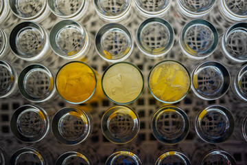 Filled Glasses in the middle of empty glasses