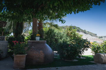 Obraz premium Greek garden with large clay pot under the tree shadow