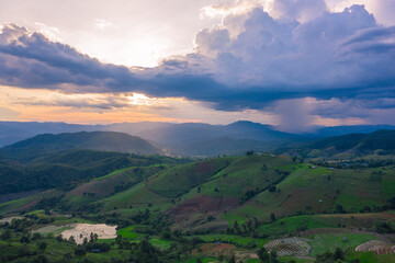 Golden time of sunset at Rice terrace in Baan-Pa-Bong-Piang, Chiangmai,Thailand