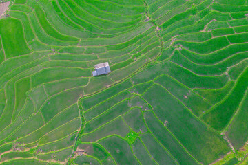 Aerial view of rice field Pa​ Bong​ Piang​ Rice Terraces​ at Pa Bong Piang village in Mae Cham, Chiangmai, Thailand.