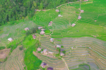 Aerial view of rice field Pa​ Bong​ Piang​ Rice Terraces​ at Pa Bong Piang village in Mae...
