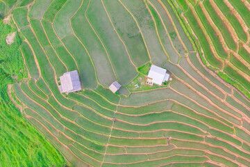 Aerial view of rice field Pa​ Bong​ Piang​ Rice Terraces​ at Pa Bong Piang village in Mae...