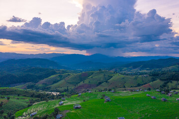 Obraz premium Golden time of sunset at Rice terrace in Baan-Pa-Bong-Piang, Chiangmai,Thailand