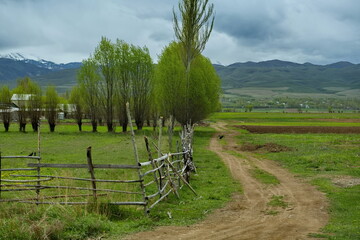Kyrgyzstan. A dirt road through the spring fields of the valley around Lake Issyk-Kul.