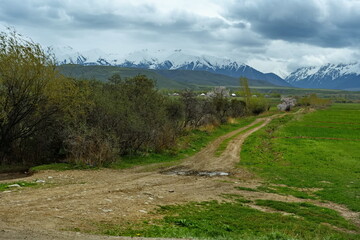 Fototapeta premium Kyrgyzstan. A dirt road through the spring fields of the valley around Lake Issyk-Kul.