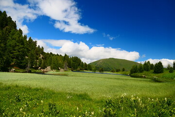 an den Ufern des Windebensee, an der Nockalmstraße