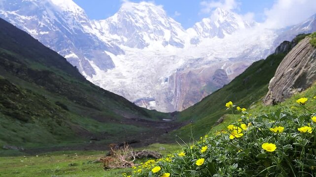 Himalayan darma valley grassland with wild flowers in front. Mt. Panchachuli peaks in snow cover in distance. 