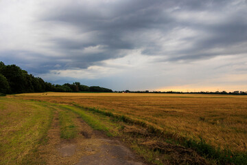 Obraz premium Thunderclouds over the fields near Mering in Bavaria