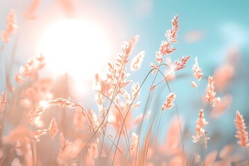 vintage background of meadow grasses with sky and sunset, blurred and grainy in light colors and pastel tones, beautiful
