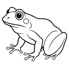 a frog vector design 