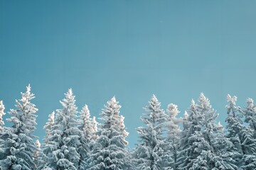 a group of snow covered trees under a blue sky