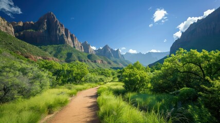 Fototapeta premium Scenic hiking trail through green meadows with a backdrop of snow-capped mountains