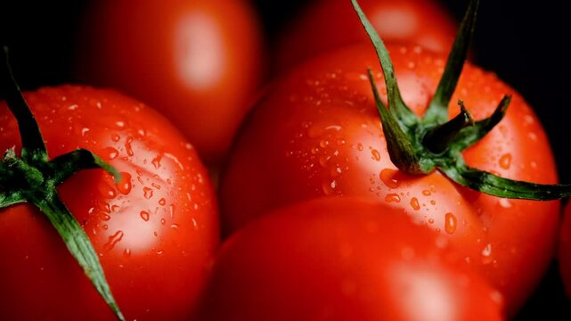 red fresh tomatoes in water droplets